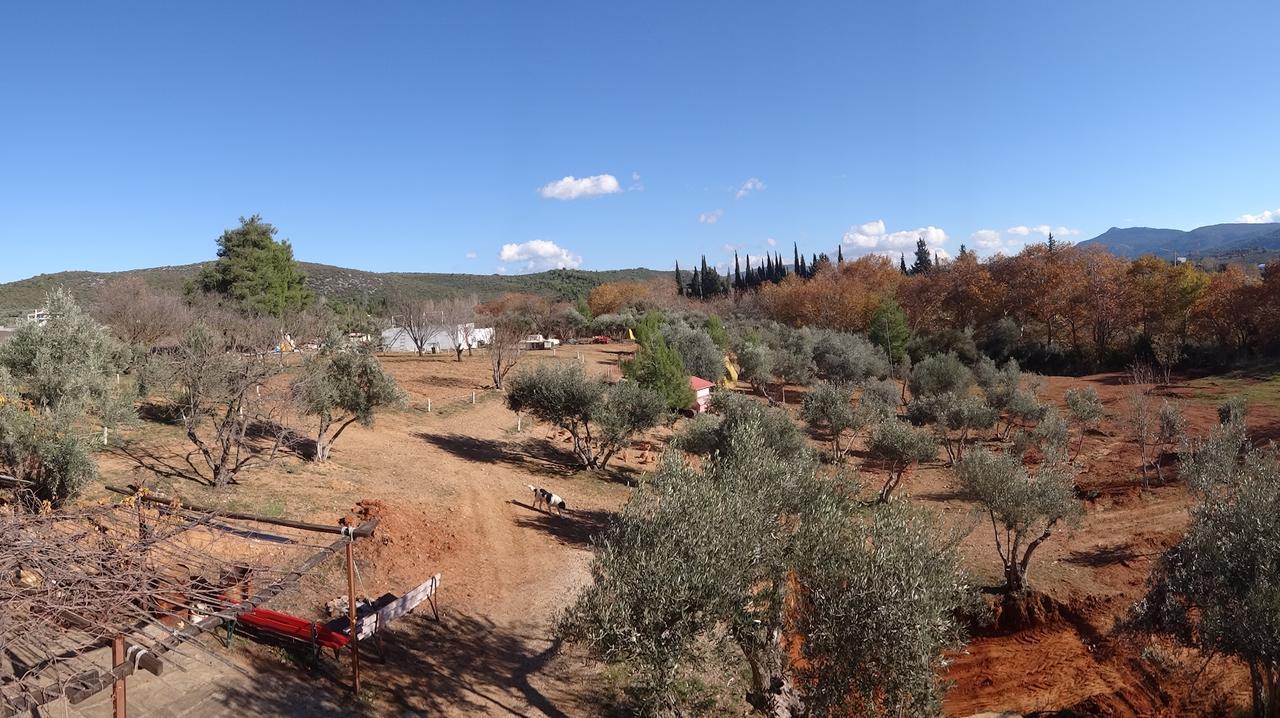 Relax In 'Crazy Farm' Villa Asprokhorion Exterior photo